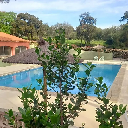 Domaine Des Mimosas