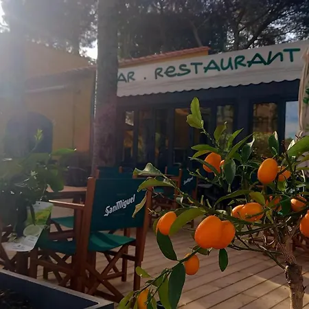 Domaine Des Mimosas アパート アルジェレス・シュル・メール