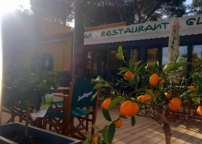 Domaine Des Mimosas Apartamento Argelès-sur-Mer