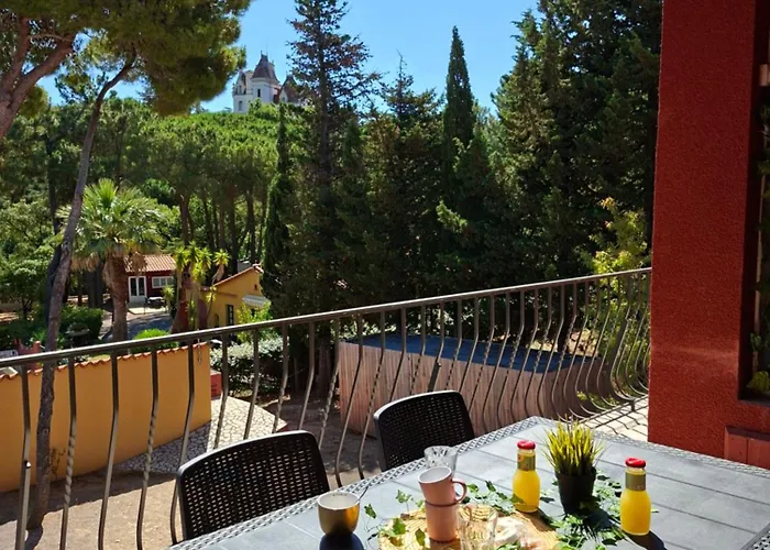 Domaine Des Mimosas *