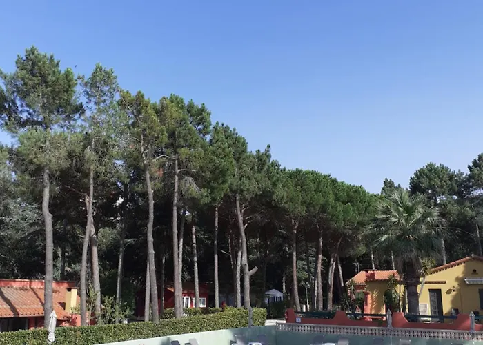 Apartamento Domaine Des Mimosas